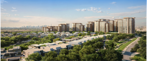 RoofSetGo - Expo Valley Views